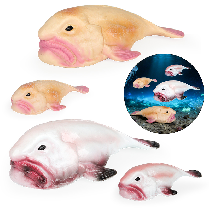 Oenux Australia Deep-Sea Fish  – обзор и цена Kids Education In Australia